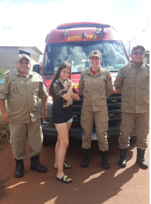 Amambai: Gatinho é resgatado pelo Corpo de Bombeiros em bueiro Amambai: Gatinho é resgatado pelo Corpo de Bombeiros em bueiro