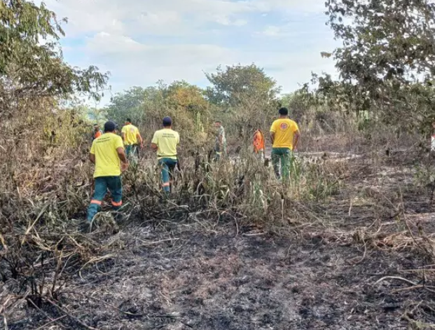 Estiagem colabora para o aumento de 172% nos focos de incêndio no MS