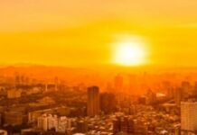 Template Colunistas – Yhuldes Giovani