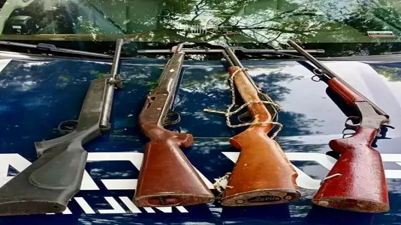 Bela Vista: PM recupera 25 cabeças de gado e prende 10 pessoas Bela Vista: PM recupera 25 cabeças de gado e prende 10 pessoas