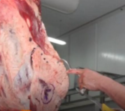Autoridades estudian acciones contra rechazo de carne paraguaya en Senado de EEUU