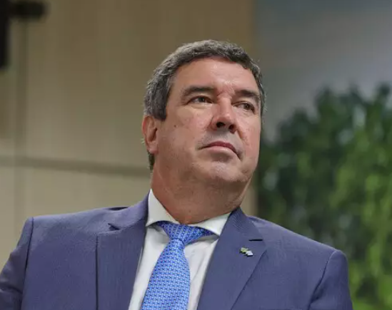 Com 1,3 milhão de floresta plantada em MS, Governo Federal abre chamada pública Com 1,3 milhão de floresta plantada em MS, Governo Federal abre chamada pública