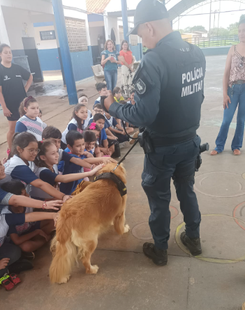 Ponta Porã: Evento promove conscientização e combate sobre maus tratos contra animais