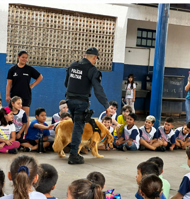 Ponta Porã: Evento promove conscientização e combate sobre maus tratos contra animais