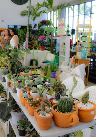 Dourados: 2ª Feira Botânica traz exposição de plantas, oficinas, lazer entre 5 e 7