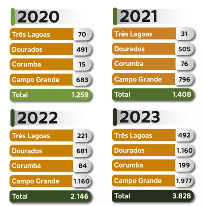Em MS, número de laqueaduras aumentou 70% após mudança de lei Em MS, número de laqueaduras aumentou 70% após mudança de lei