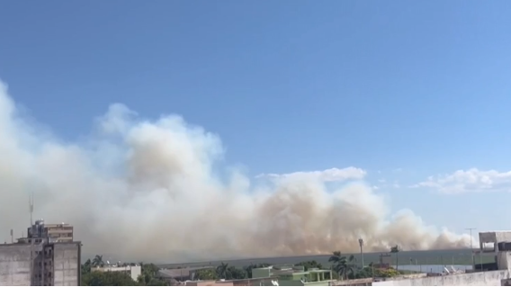 Focos de incêndio no Pantanal crescem 931% no 1º semestre de 2024 Focos de incêndio no Pantanal crescem 931% no 1º semestre de 2024