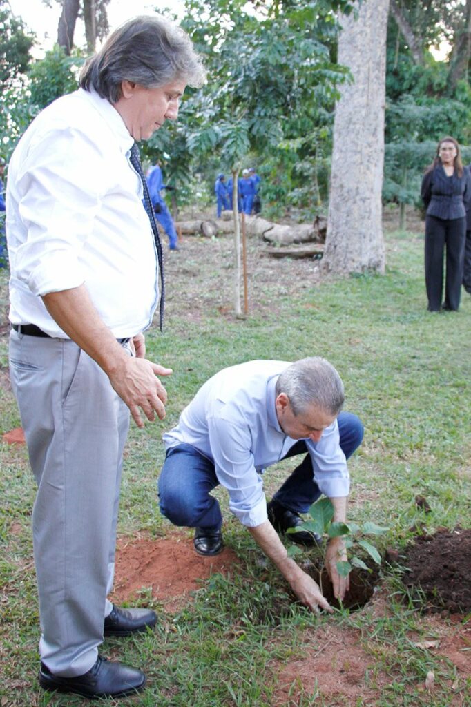 Dia do Meio Ambiente: Em gesto simbólico, deputados plantam mudas de ipê Dia do Meio Ambiente: Em gesto simbólico, deputados plantam mudas de ipê
