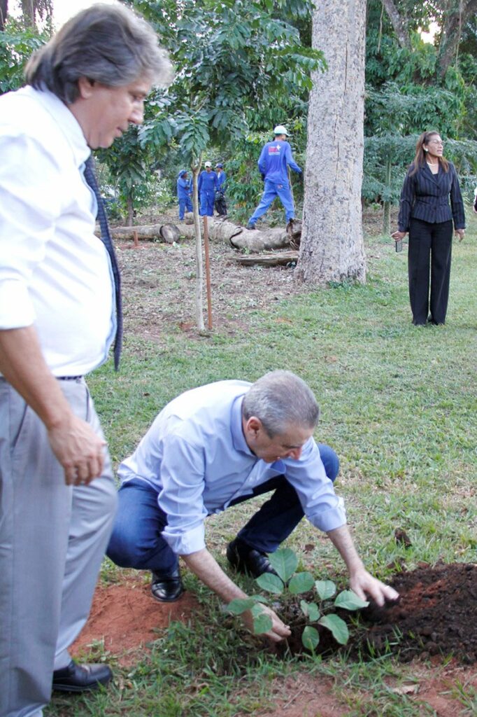 Dia do Meio Ambiente: Em gesto simbólico, deputados plantam mudas de ipê Dia do Meio Ambiente: Em gesto simbólico, deputados plantam mudas de ipê