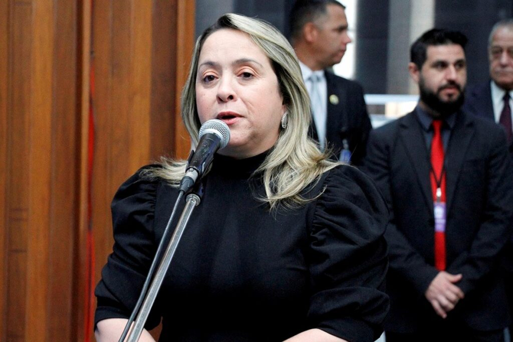 Descarte correto de fios instalados em postes é debatido pelos deputados da ALEMS Descarte correto de fios instalados em postes é debatido pelos deputados da ALEMS