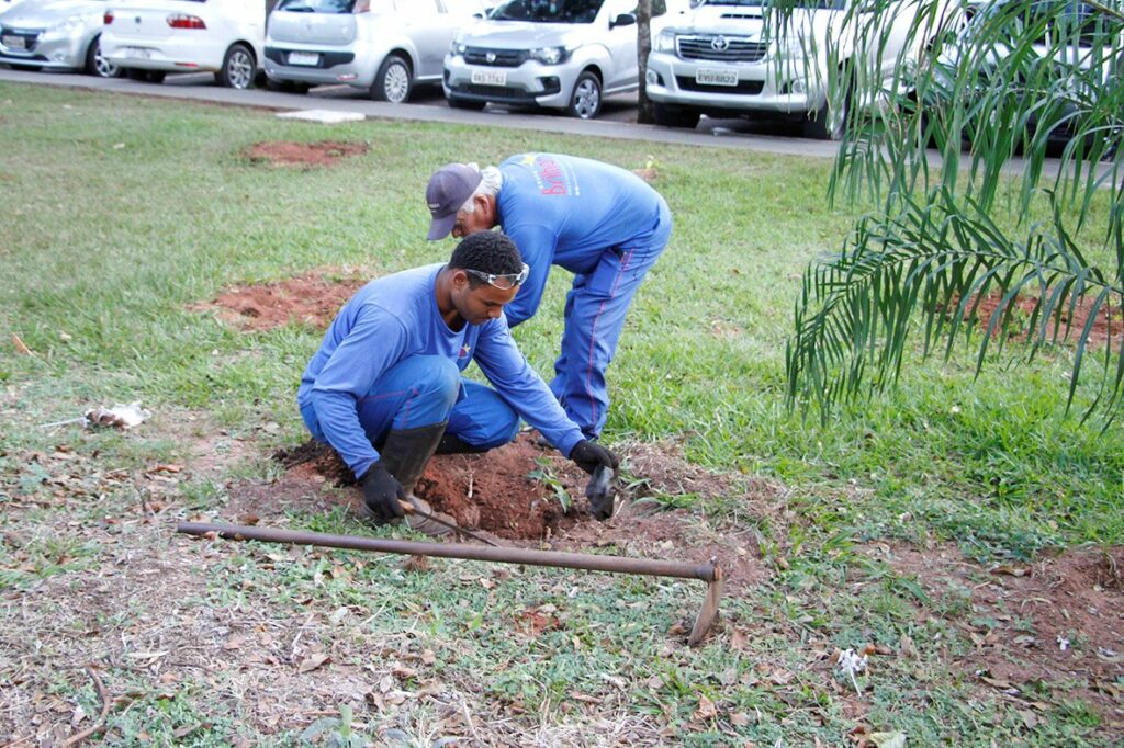 Dia do Meio Ambiente: Em gesto simbólico, deputados plantam mudas de ipê Dia do Meio Ambiente: Em gesto simbólico, deputados plantam mudas de ipê