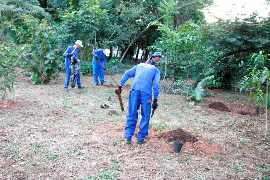 Dia do Meio Ambiente: Em gesto simbólico, deputados plantam mudas de ipê Dia do Meio Ambiente: Em gesto simbólico, deputados plantam mudas de ipê