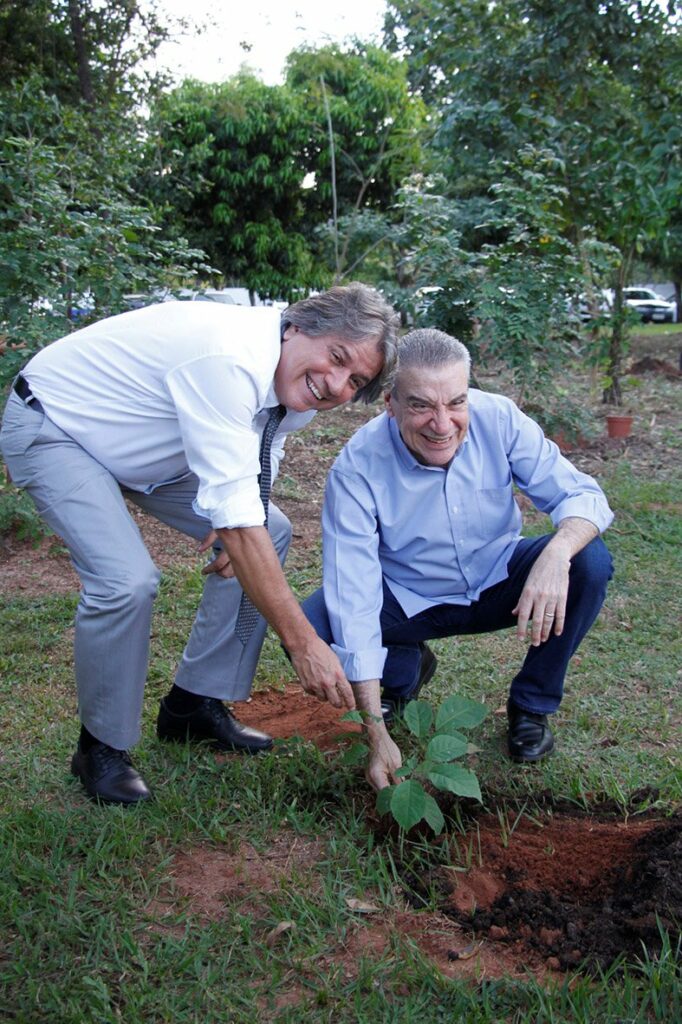 Dia do Meio Ambiente: Em gesto simbólico, deputados plantam mudas de ipê Dia do Meio Ambiente: Em gesto simbólico, deputados plantam mudas de ipê