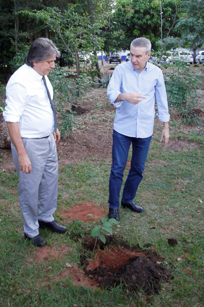 Dia do Meio Ambiente: Em gesto simbólico, deputados plantam mudas de ipê Dia do Meio Ambiente: Em gesto simbólico, deputados plantam mudas de ipê