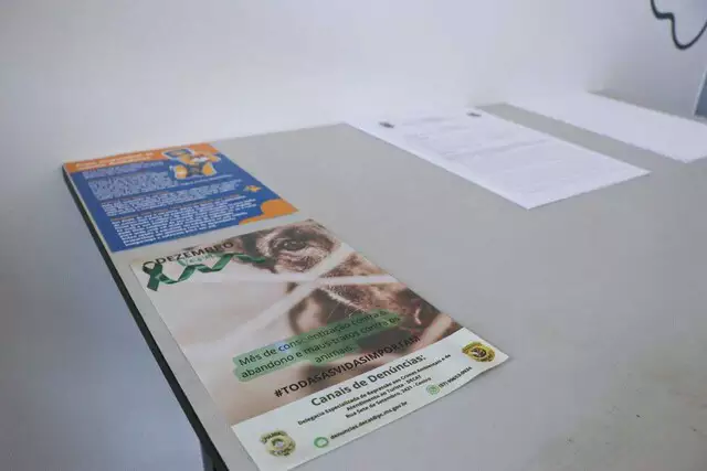 Campo Grande: Delegacia tem "cantinho da denúncia" sobre maus-tratos a animais Campo Grande: Delegacia tem "cantinho da denúncia" sobre maus-tratos a animais