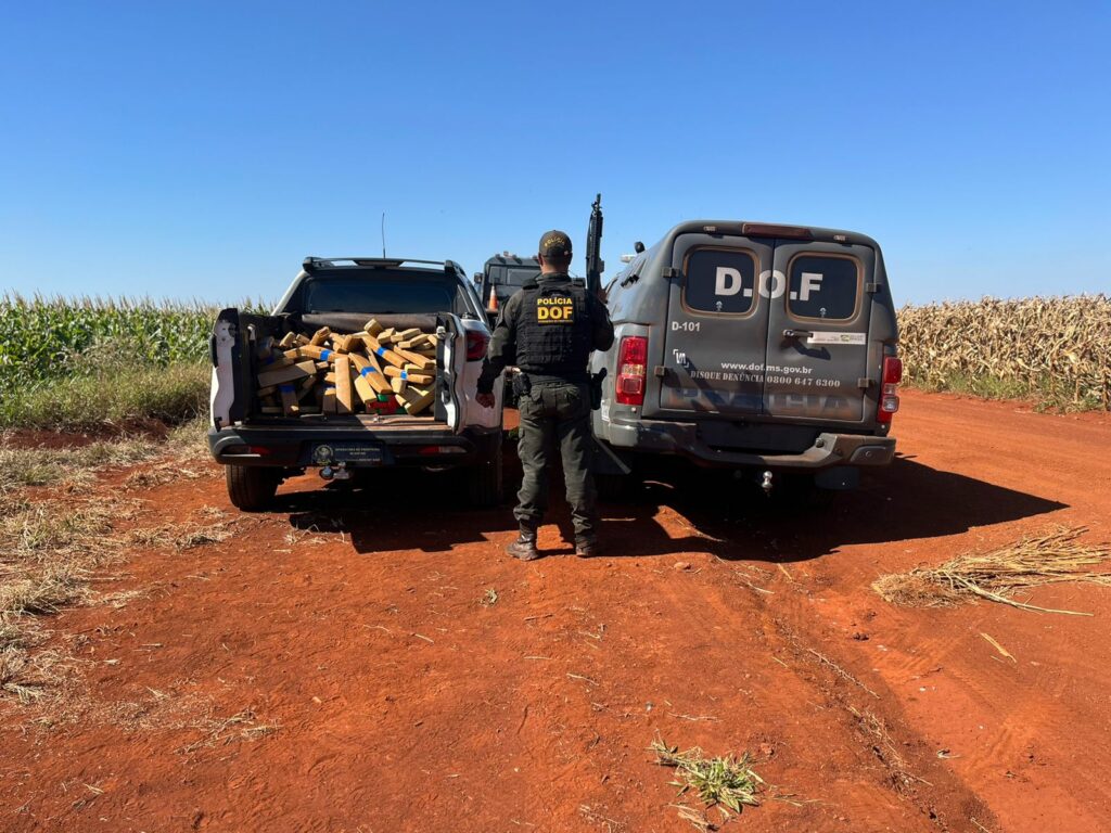 Maracaju: Veículo é recuperado pelo DOF com mais de 270 quilos de maconha em plantação de milho Maracaju: Veículo é recuperado pelo DOF com mais de 270 quilos de maconha em plantação de milho