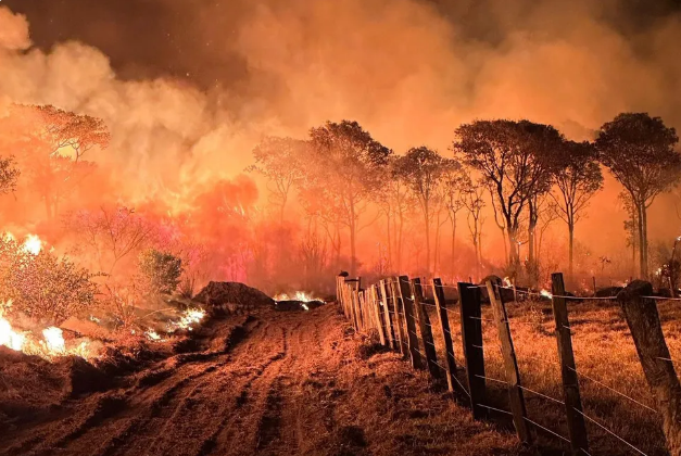 Focos de incêndio no Pantanal crescem 931% no 1º semestre de 2024 Focos de incêndio no Pantanal crescem 931% no 1º semestre de 2024