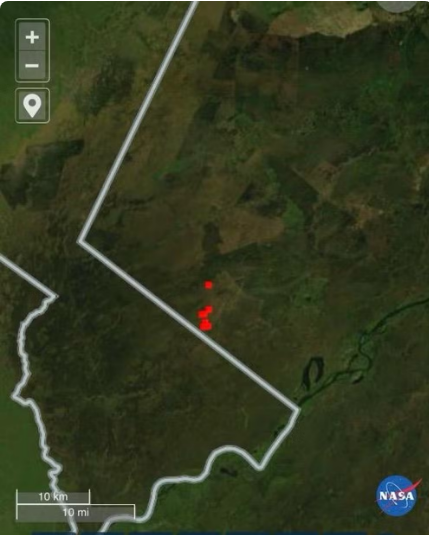 Focos de incêndio no Pantanal crescem 931% no 1º semestre de 2024 Focos de incêndio no Pantanal crescem 931% no 1º semestre de 2024