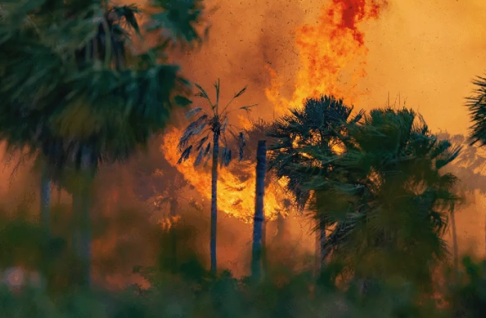 Pantanal: frio e chuva amenizam fogo, mas chamas ainda não foram extintas, diz Corpo de Bombeiros Pantanal: frio e chuva amenizam fogo, mas chamas ainda não foram extintas, diz Corpo de Bombeiros