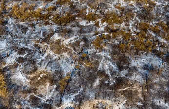 Pantanal: frio e chuva amenizam fogo, mas chamas ainda não foram extintas, diz Corpo de Bombeiros Pantanal: frio e chuva amenizam fogo, mas chamas ainda não foram extintas, diz Corpo de Bombeiros