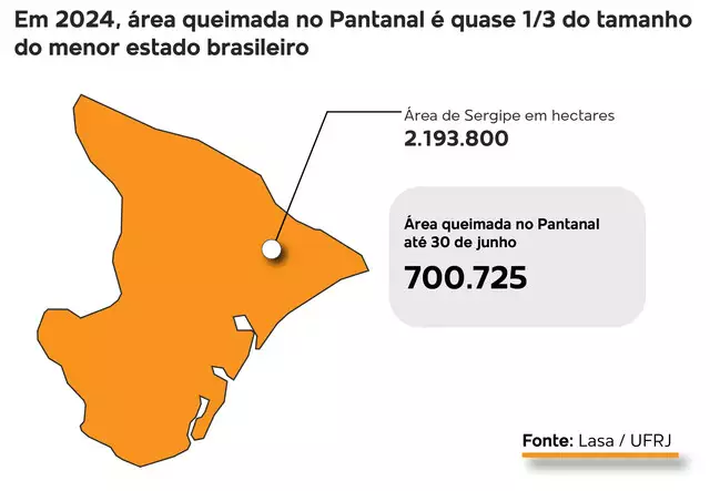 No Pantanal, área incendiada em 6 meses é quase tudo o que queimou em 2023 No Pantanal, área incendiada em 6 meses é quase tudo o que queimou em 2023
