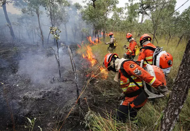 No Pantanal, área incendiada em 6 meses é quase tudo o que queimou em 2023 No Pantanal, área incendiada em 6 meses é quase tudo o que queimou em 2023