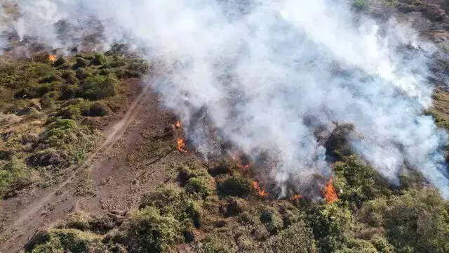 Combate a incêndio no Pantanal terá reforço de bombeiros de sete estados Combate a incêndio no Pantanal terá reforço de bombeiros de sete estados