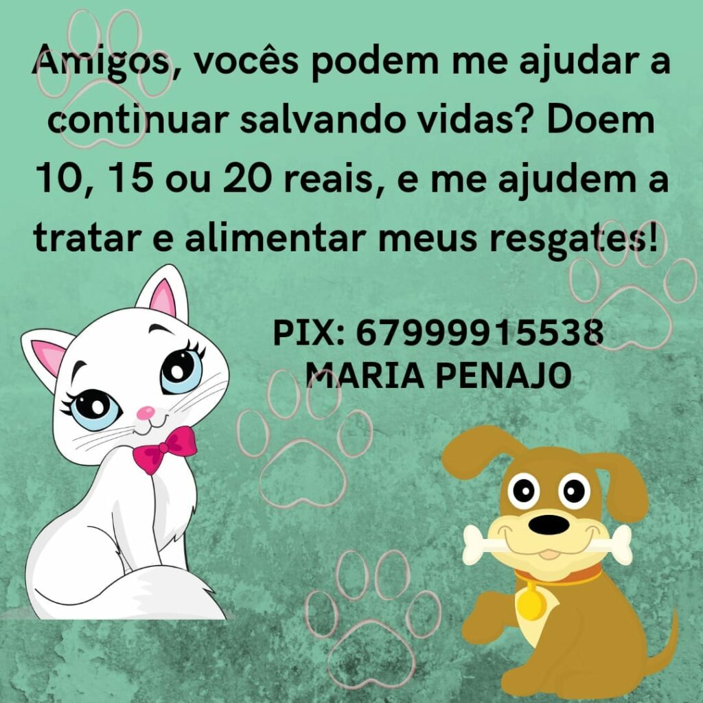 Conheça a história de Maria Penajo, protetora dos animais em Ponta Porã
