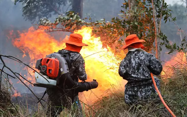 Segundo estudo, área degradada do Pantanal pode chegar a 2,1 milhões de hectares