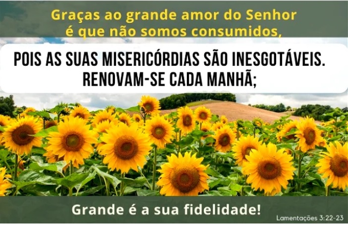 Leia o Versículo de hoje, dia 24 de julho de 2024 Leia o Versículo de hoje, dia 24 de julho de 2024