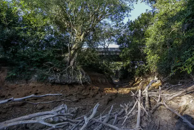 Rio da Prata sem uma gota de água, cenário é desolador Rio da Prata sem uma gota de água, cenário é desolador