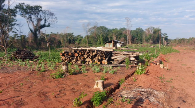 Pobladores exigen a fiscales actuar en caso de invasión y deforestación en San Pedro