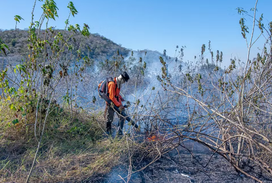 Pantanal bate marca de 800 mil hectares queimados neste ano Pantanal bate marca de 800 mil hectares queimados neste ano