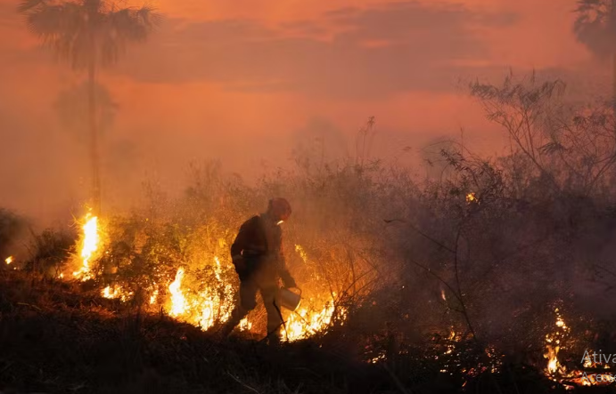 Pantanal: frio e chuva amenizam fogo, mas chamas ainda não foram extintas, diz Corpo de Bombeiros Pantanal: frio e chuva amenizam fogo, mas chamas ainda não foram extintas, diz Corpo de Bombeiros