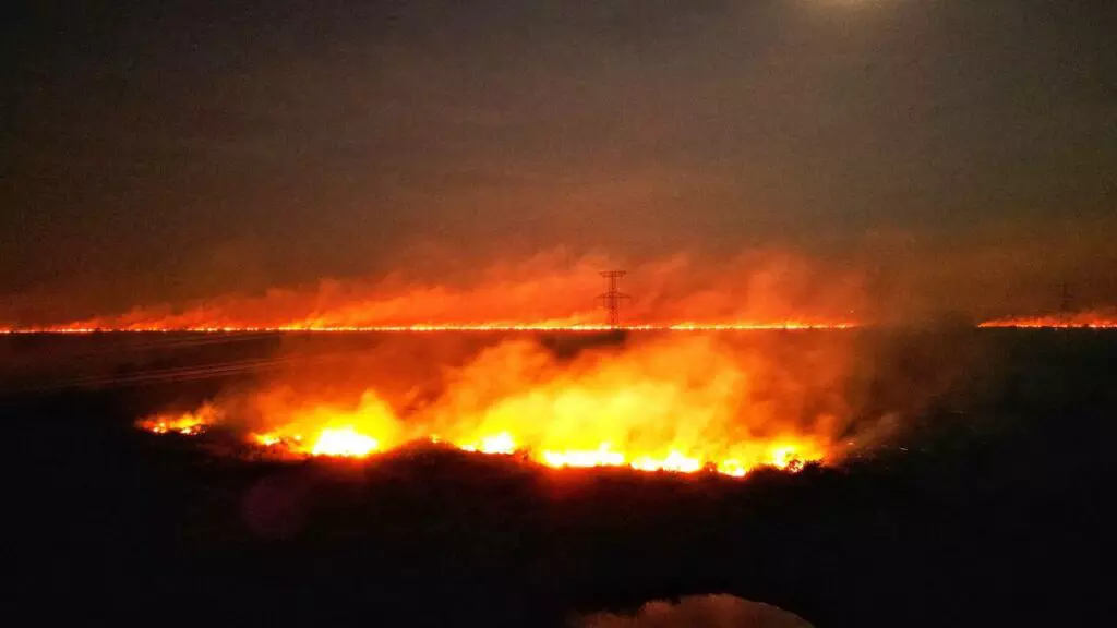 Polícia Federal usa helicóptero para realizar perícia e identificar responsáveis por incêndios no Pantanal Polícia Federal usa helicóptero para realizar perícia e identificar responsáveis por incêndios no Pantanal
