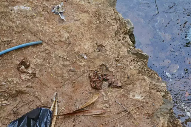 Feto é encontrado dentro de saco de lixo em córrego de Campo Grande Feto é encontrado dentro de saco de lixo em córrego de Campo Grande