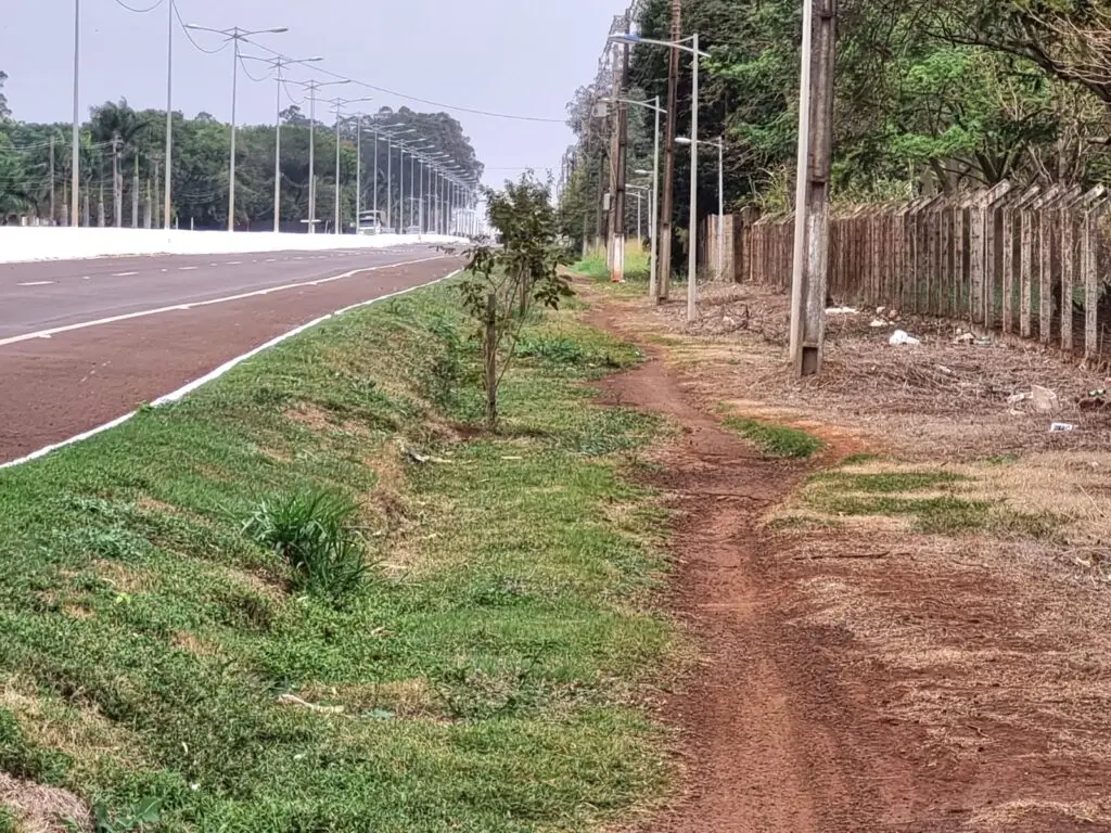 Lia Nogueira solicita manutenção urgente de ciclovia na Avenida Guaicurus, em Dourados Lia Nogueira solicita manutenção urgente de ciclovia na Avenida Guaicurus, em Dourados