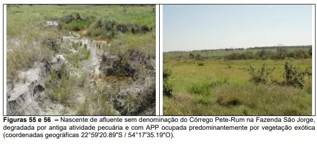 Usina é investigada por desmatamento e plantio de cana em área de preservação Usina é investigada por desmatamento e plantio de cana em área de preservação