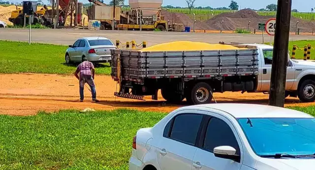 Jacaré é capturado em pátio de cooperativa e amarrado na carroceira de veículo Jacaré é capturado em pátio de cooperativa e amarrado na carroceira de veículo