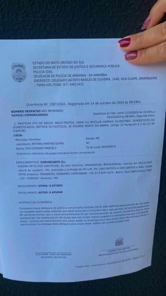 Amambai: Cães e gatos são envenenados e ONG registra B.O Amambai: Cães e gatos são envenenados e ONG registra B.O