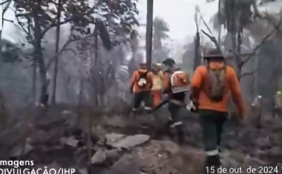 ‘Impossível o ser humano combater’, diz chefe da brigada de incêndio em área isolada do Pantanal ‘Impossível o ser humano combater’, diz chefe da brigada de incêndio em área isolada do Pantanal