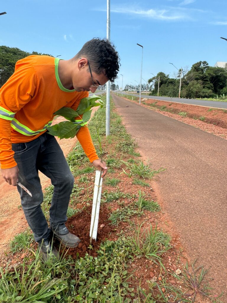 Ponta Porã: Secretaria de Obras realiza plantio de 400 mudas de árvores no Contorno Viário Sul Ponta Porã: Secretaria de Obras realiza plantio de 400 mudas de árvores no Contorno Viário Sul