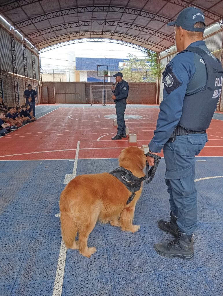 Ponta Porã: PM leva emoção e aprendizado para a Escola Mappe com demonstração da Força Tática e do Canil Ponta Porã: PM leva emoção e aprendizado para a Escola Mappe com demonstração da Força Tática e do Canil