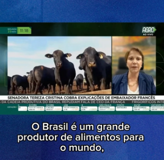 Tereza Cristina cobra embaixador francês por "boicote" ao agronegócio do Brasil Tereza Cristina cobra embaixador francês por "boicote" ao agronegócio do Brasil