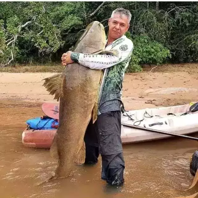 Pescadores esportivos são contra alterações enviadas para análise do Governo Pescadores esportivos são contra alterações enviadas para análise do Governo