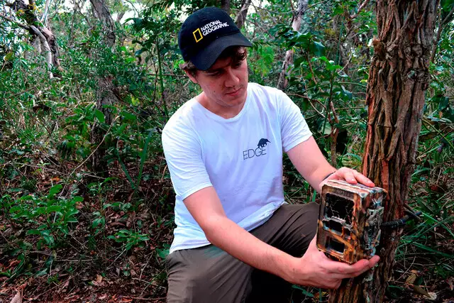 Rodovias no Cerrado de MS espantam mamíferos de seus habitats Rodovias no Cerrado de MS espantam mamíferos de seus habitats