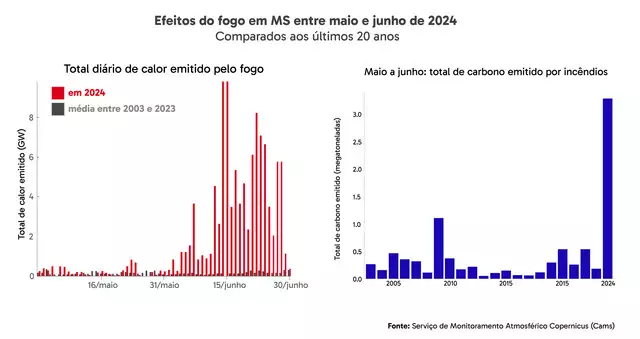 Em MS, volume de carbono emitido por incêndios florestais é o maior em 20 anos Em MS, volume de carbono emitido por incêndios florestais é o maior em 20 anos