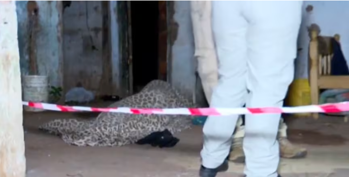 Asesinan a joven en Ypané e inmediatamente detienen al presunto autor Asesinan a joven en Ypané e inmediatamente detienen al presunto autor