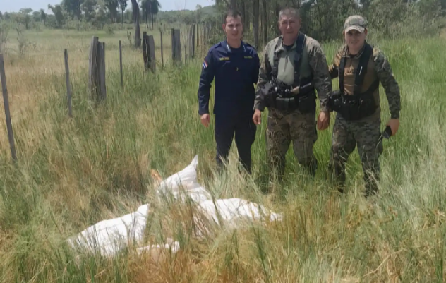 Policía recupera carne vacuna y detiene a un sospechoso de abigeato en Yby Yaú Policía recupera carne vacuna y detiene a un sospechoso de abigeato en Yby Yaú