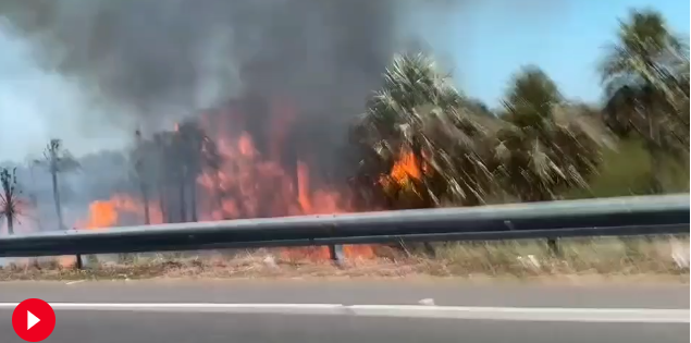 Otro incendio forestal de gran magnitud arrasa zona de Luque-San Bernardino Otro incendio forestal de gran magnitud arrasa zona de Luque-San Bernardino